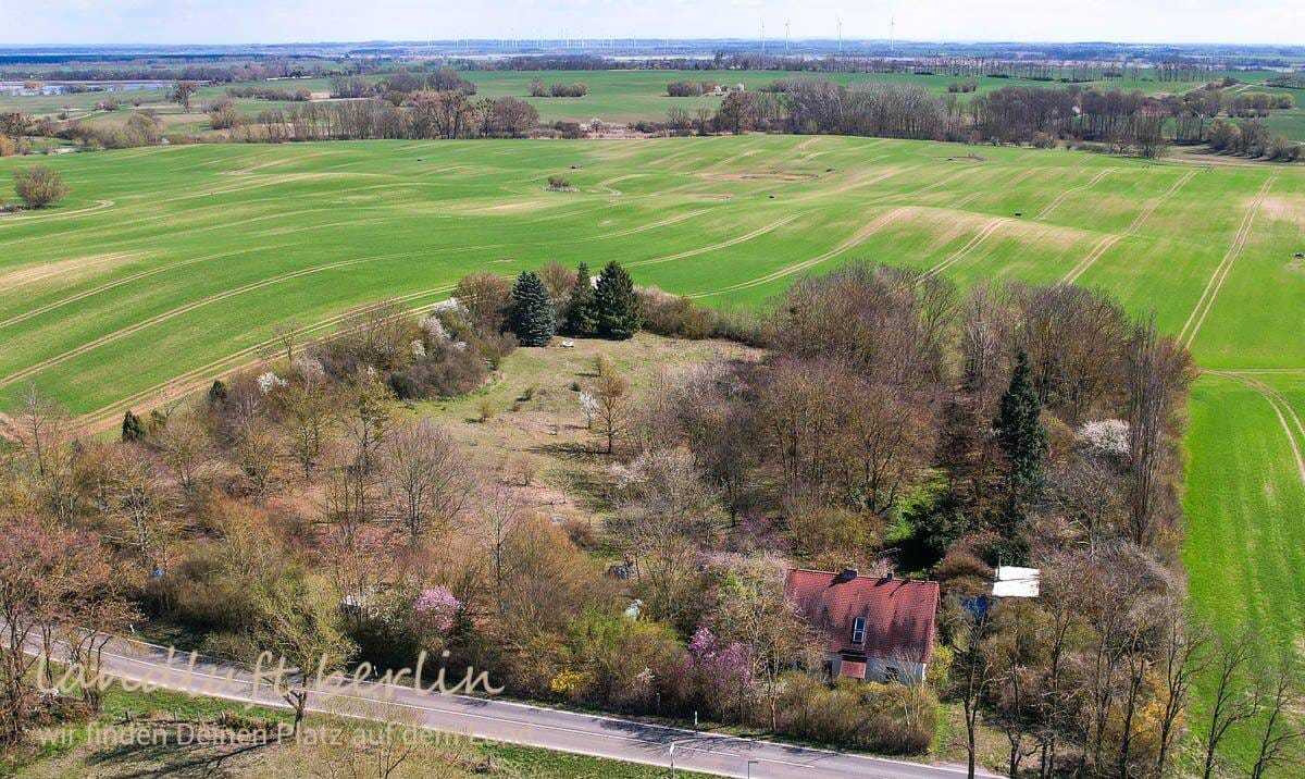 Immobilie in Randowtal - Kleiner Hof in Alleinlage mit großem Grundstück, so vielgestalt wie die uckermärkische Landschaft - Bild 0