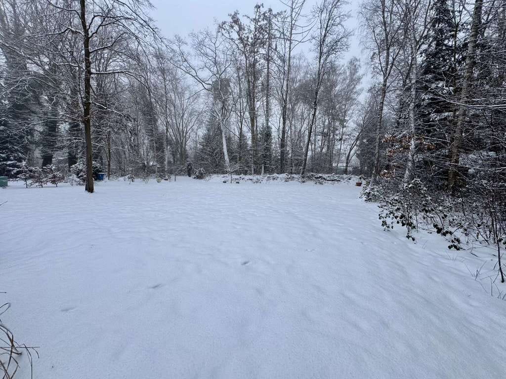 Immobilie in Isenbüttel - Ihr Hauptwohnsitz am See - Bild 3