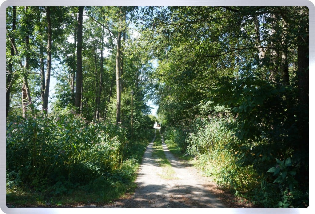 Immobilie in Sankt Wolfgang - KREIPL-IMMO -NEUER PREIS- St.Wolfgang- EFH im Grünen - NATUR PUR - Bild 4