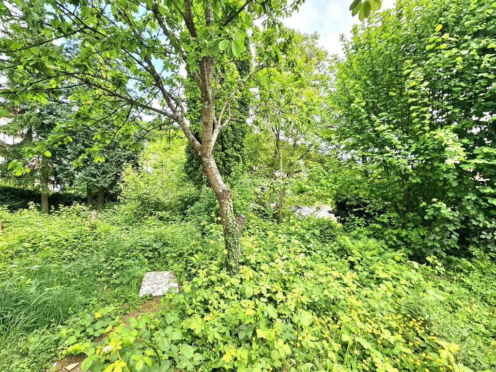 Immobilie in Lindenfels - 6-Parteienhaus mit 11% Bruttomietrendite zu verkaufen - Bild 3