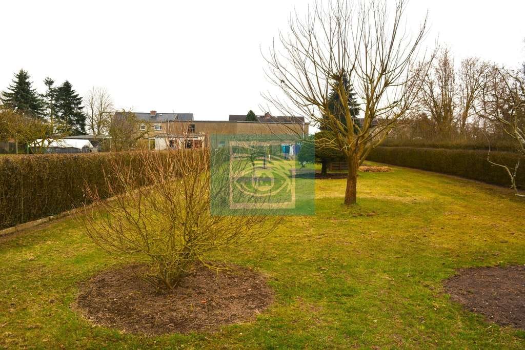 Immobilie in Grimmen - Große Doppelhaushälfte auf langestrecktem Areal in Stoltenhagen zu verkaufen! - Bild 4