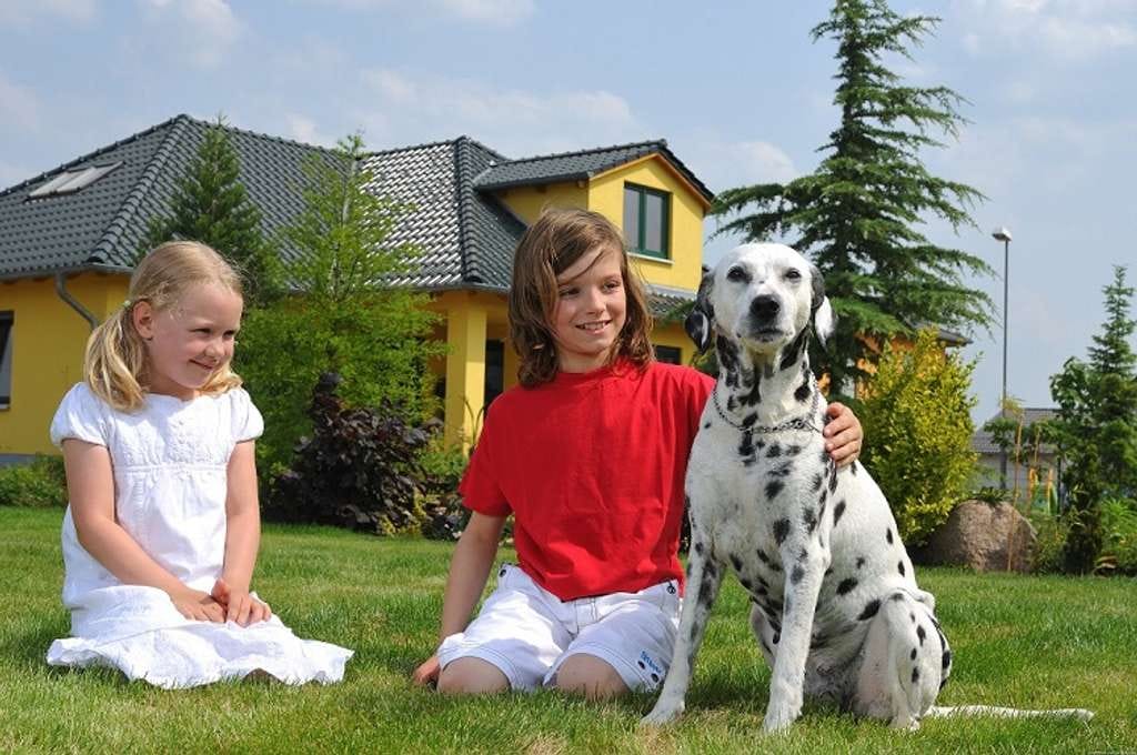 Immobilie in Ruppertshofen - Zu Hause einfach genießen - Bild 1