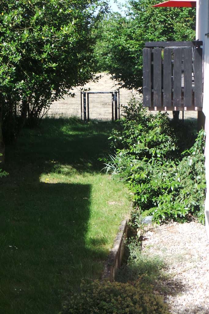 Immobilie in Trippstadt - Gemütliche Eigentumswohnung mit Terrasse  und Stellplatz in begehrter Lage von Trippstadt - Bild 4
