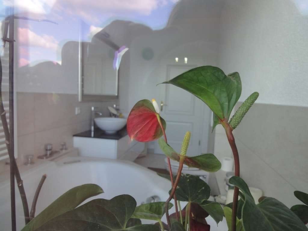Immobilie in Aichelberg - Exklusive Landhauswohnung mit besonderem Ambiente, offenes Wohnen, Panoramaaussicht, Gartenbereich - Bild 4