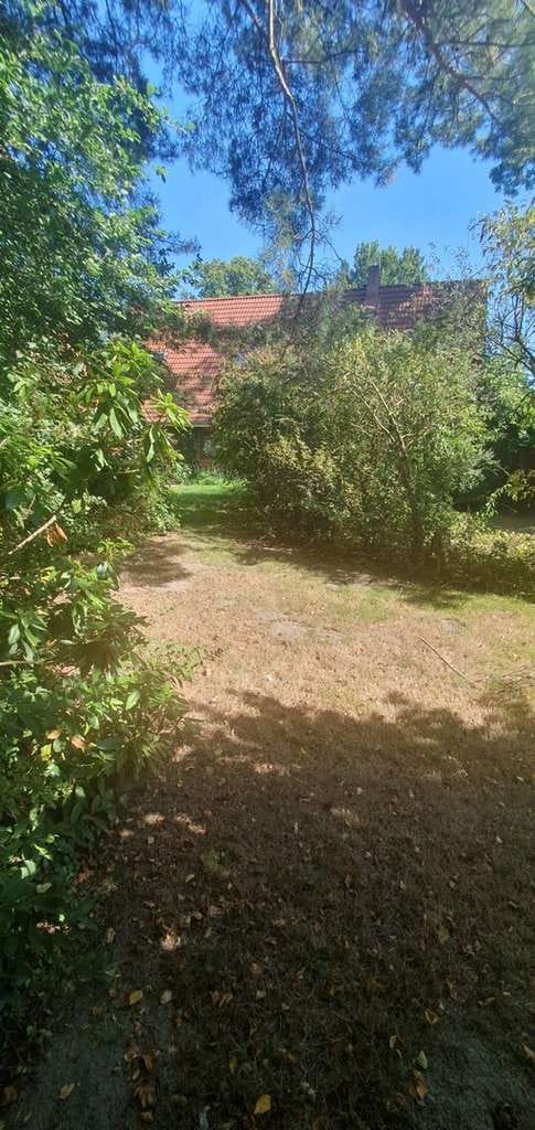 Immobilie in Ottersberg - Bauernhaus mit bezauberndem Garten - Bild 3