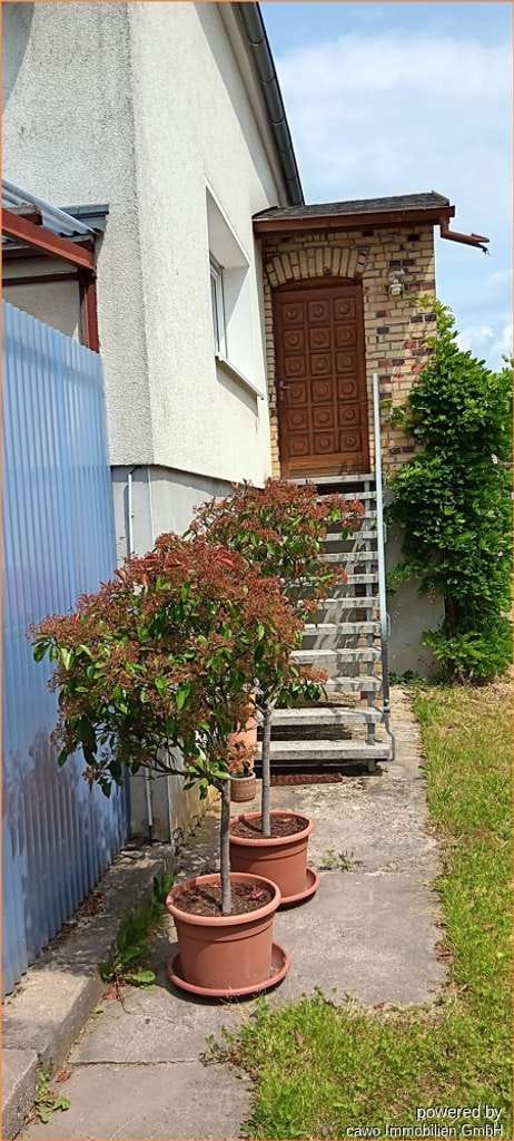 Immobilie in Oderberg - Ehmalige Gärtnerei mit Wohnhaus, Gewächshaus, Nebengelassen auf 3.500 m² Land - Bild 2