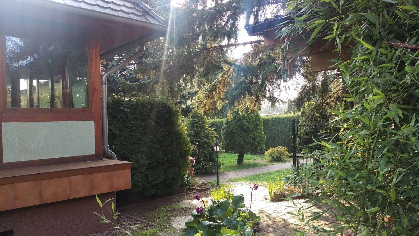 Immobilie in Georgenthal - Bungalow / Ferienhaus / Einfamilienhaus komplett saniert in Traumlage! Sehr ruhig am Wald gelegen! mit Kamin und Wintergarten! - Bild 4