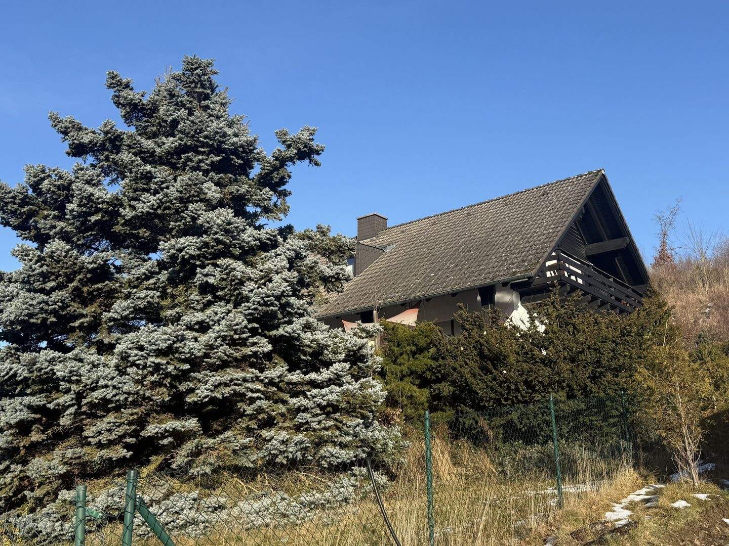 Immobilie in Trogen - Bei Hof: Attraktives Einfamilienhaus mit großem Garten - Bild 2