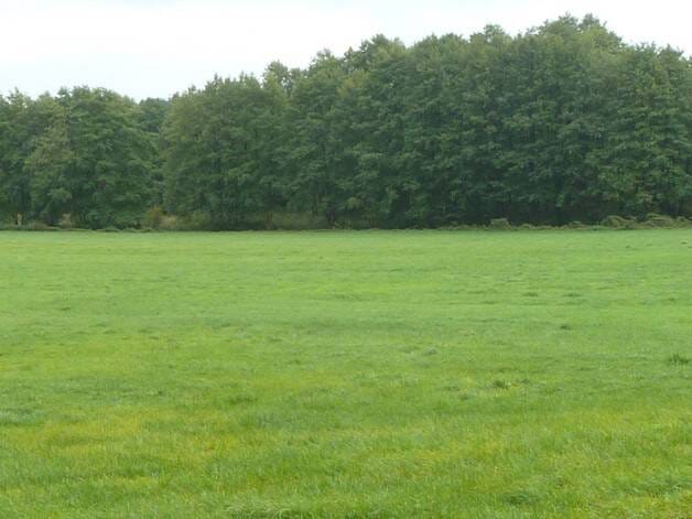 Immobilie in Uckerland - Alleinlage mit 100 qm Haus, Scheunen und 92 Hektar Land - Bild 2