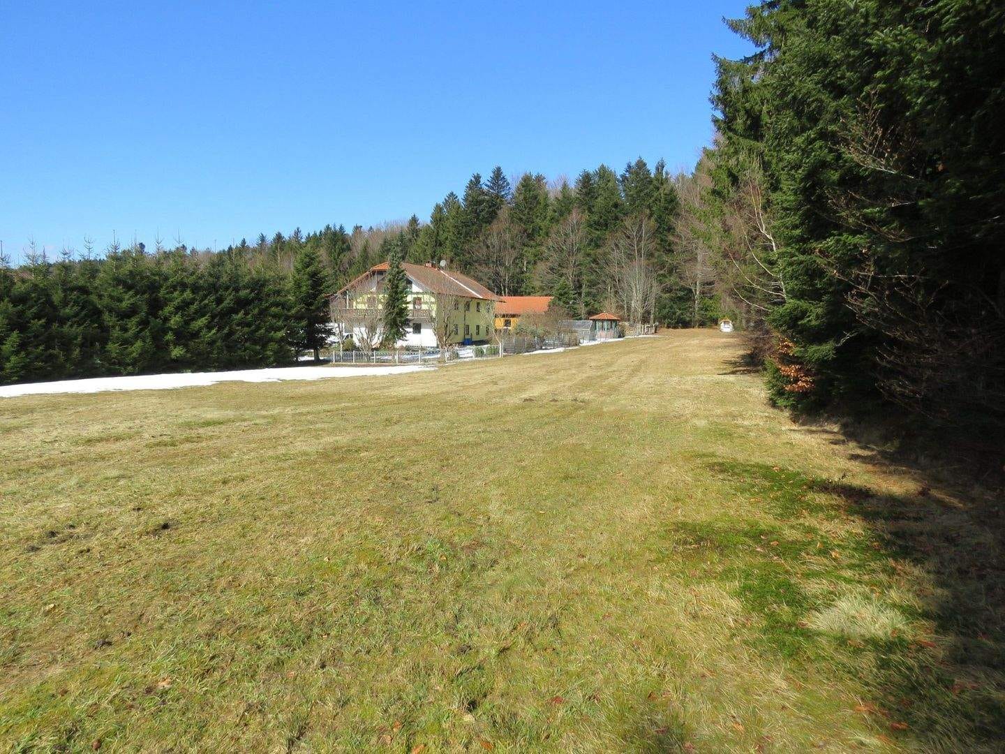 Immobilie in Schöfweg - Landhaus mit Werkstatt und Halle in sonniger Waldrandlage Nähe Lalling am Brotjacklriegel - Bild 4