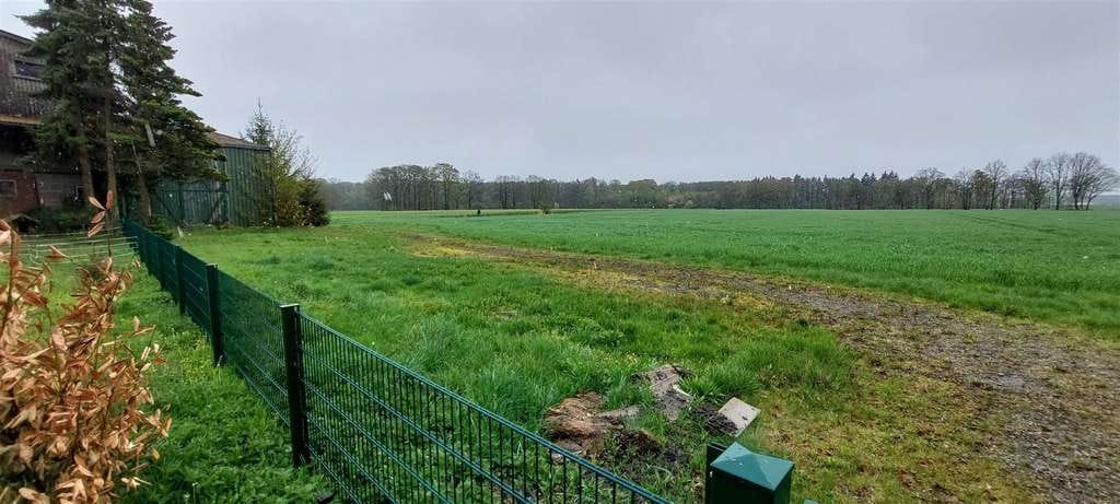 Immobilie in Wittingen - Charmante Hofstelle mit Weitblick – Niedersachsenhaus, großer Garten & Nebengebäuden - Bild 2