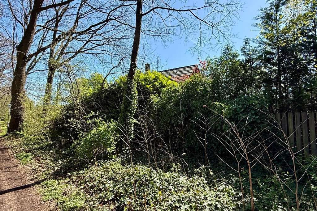Immobilie in Rotenburg - Familienglück am Stadtrand – Verwirklichen Sie hier Ihren Wohntraum! - Bild 3