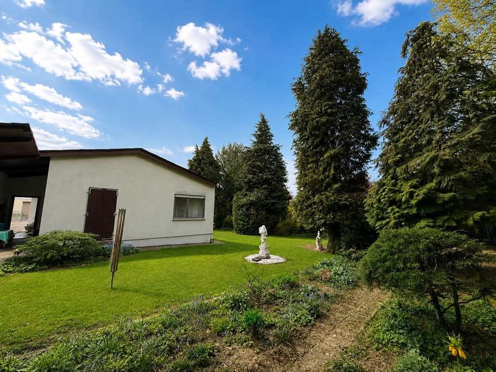 Immobilie in Kirchheimbolanden - Seltene Gelegenheit: Freistehender Bungalow auf Traumgrundstück in Kirchheimbolanden (3D Tour) - Bild 4