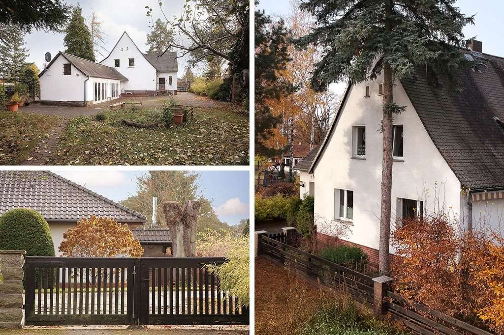 Immobilie in Schollene - Ein Haus zum wohlfühlen - Bild 3
