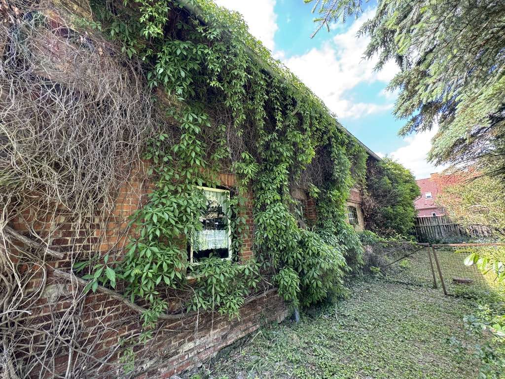 Immobilie in Dorf Mecklenburg - Charmantes Bauernhaus mit großem Grundstück und vielfältigen Nutzungsmöglichkeiten - Bild 4