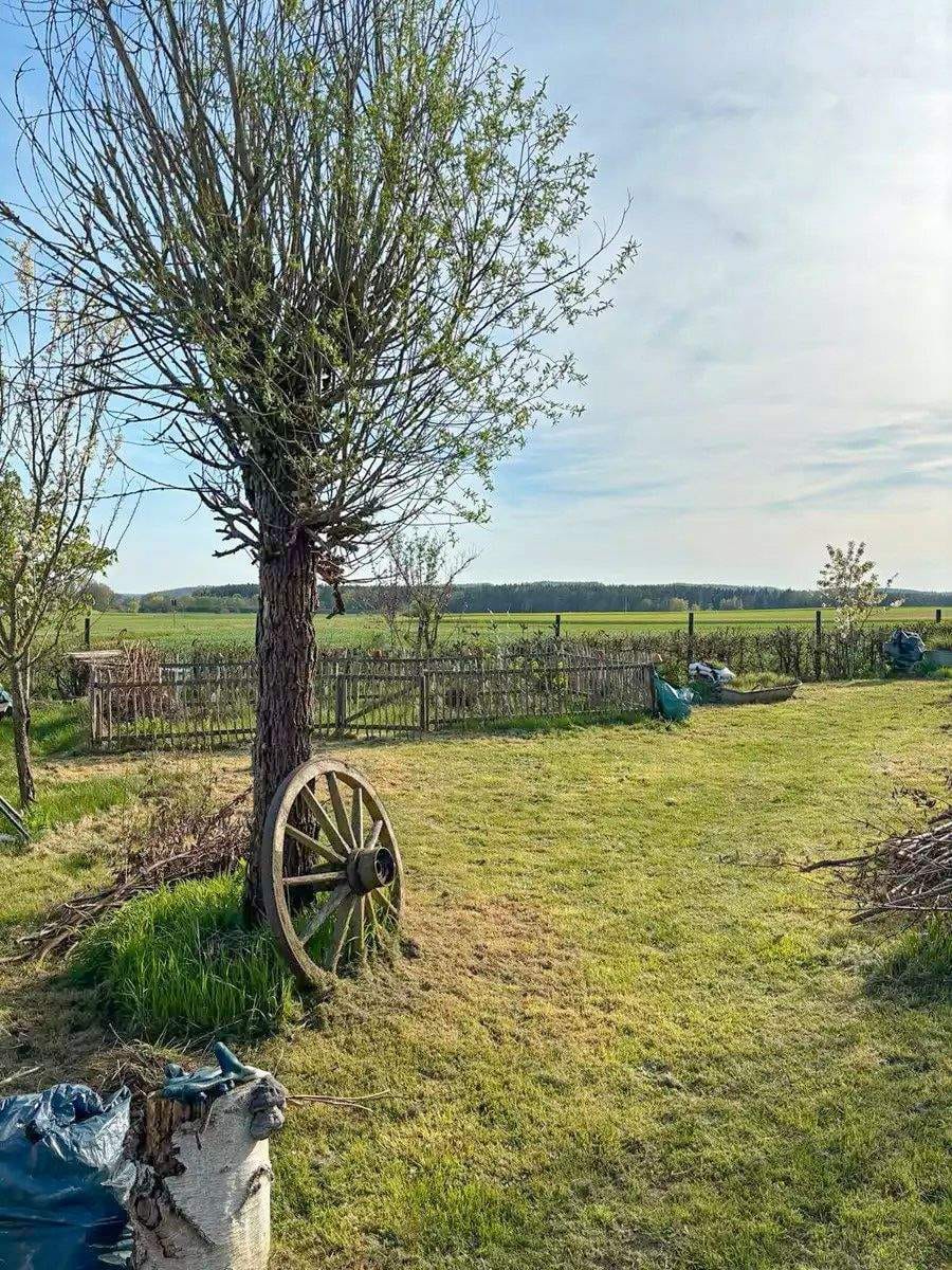 Immobilie in Hahnbach - Wohnen mit Fernblick - Einfamilienhaus in traumhafter Lage von Ursulapoppenricht - Bild 3