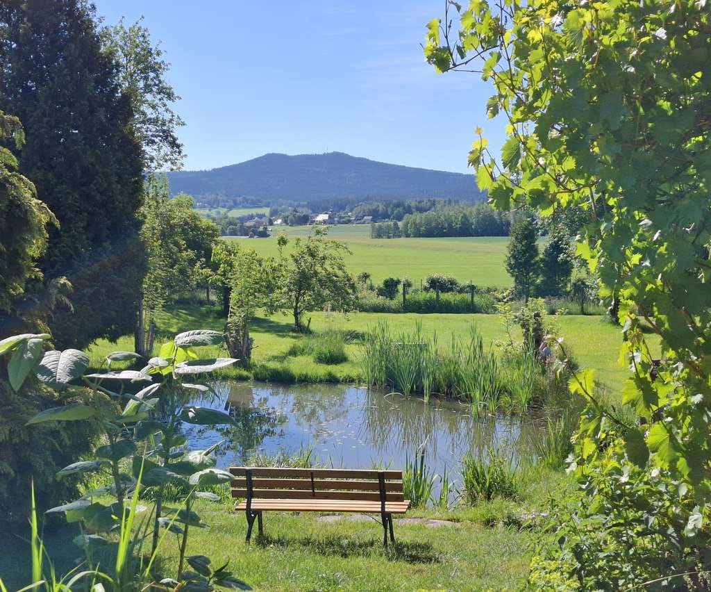 Immobilie in Tröstau - Naturparadies mit eigenem Weiher, Bauplatz, 5.000 qm Grund - Bild 2
