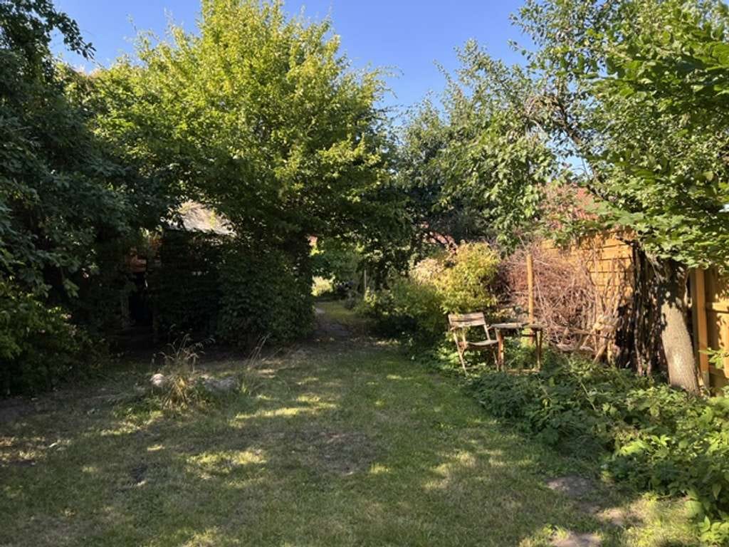 Immobilie in Gülitz-Reetz - Gemütliches Bauernhaus für die Landlust – mit kleiner Wiese - Bild 4