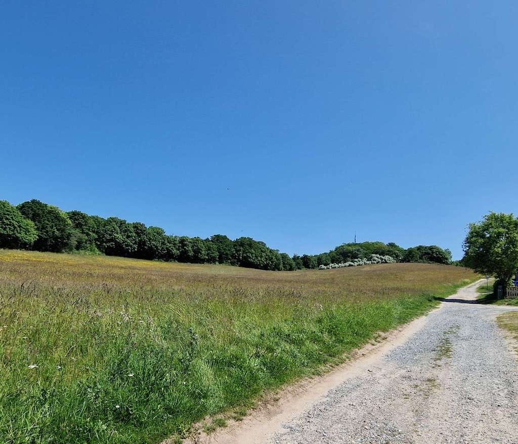 Immobilie in Mönchgut - STRANDNAHES WOHNHAUS IN THIESSOW - AUF RÜGEN.... - Bild 2