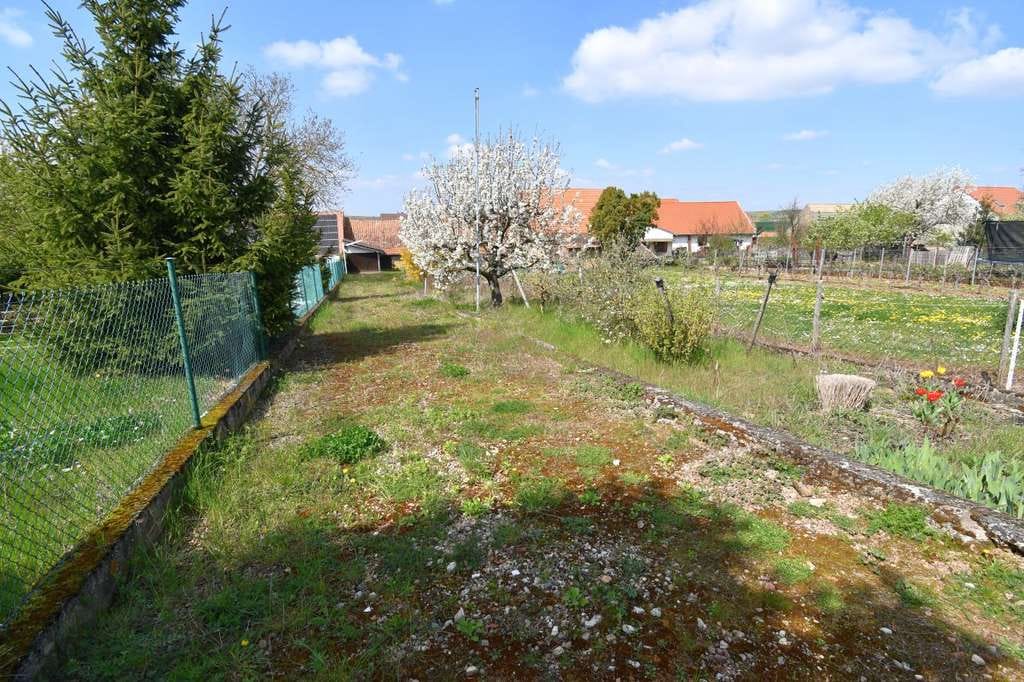 Immobilie in Wendelsheim - Großes Hofgut auf XXXL Grundstück mit vielen Nebengebäuden und sonnigem Garten - Bild 3