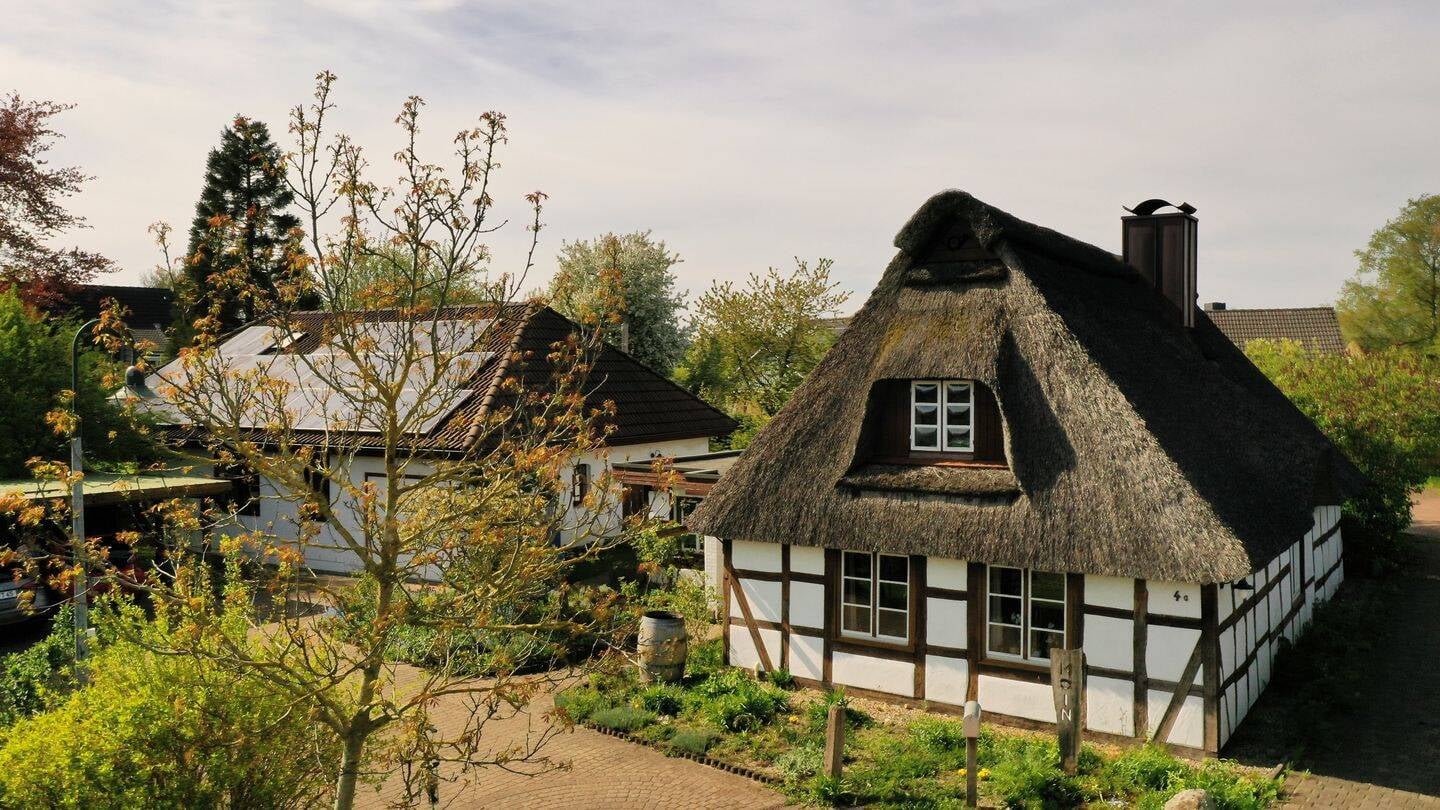 Immobilie in Nübbel - Im Auftrag zu verkaufen: Reetdach-Einfamilienhaus mit großem Garten – Einliegerwohnung, Büro und Carport - Grundstück teilbar - Bild 2