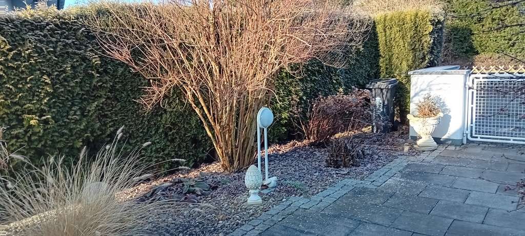 Immobilie in Reimlingen - Traumhaus in idyllischer Lage  - Bild 1