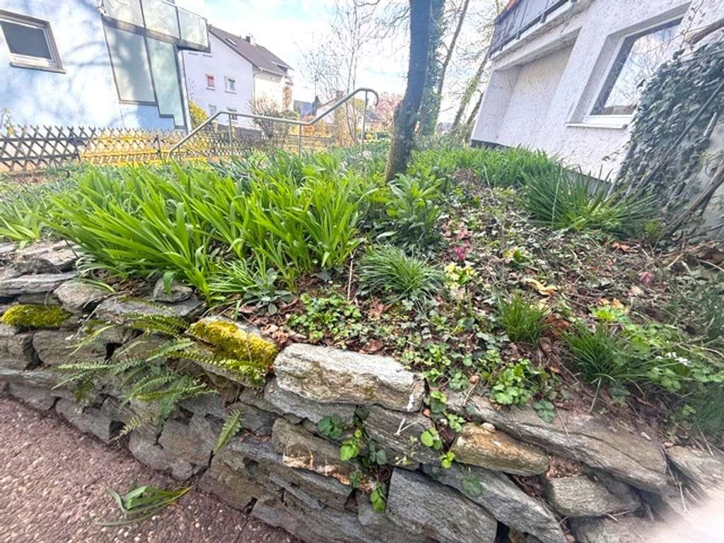 Immobilie in Niedernhausen - **Mehrfamilienhaus in Niedernhausen – Attraktive Rendite & Top-Lage** - Bild 3