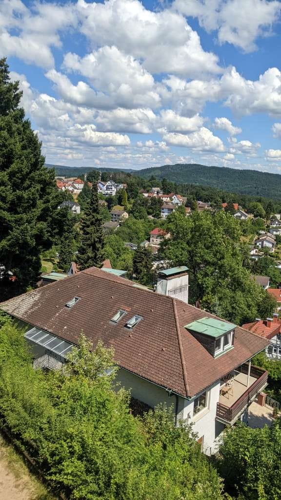 Immobilie in Lindenfels - Wohnen wie ein Burgherr - 4 Parteien, für Kapitalanleger oder Eigennutzer - Bild 2