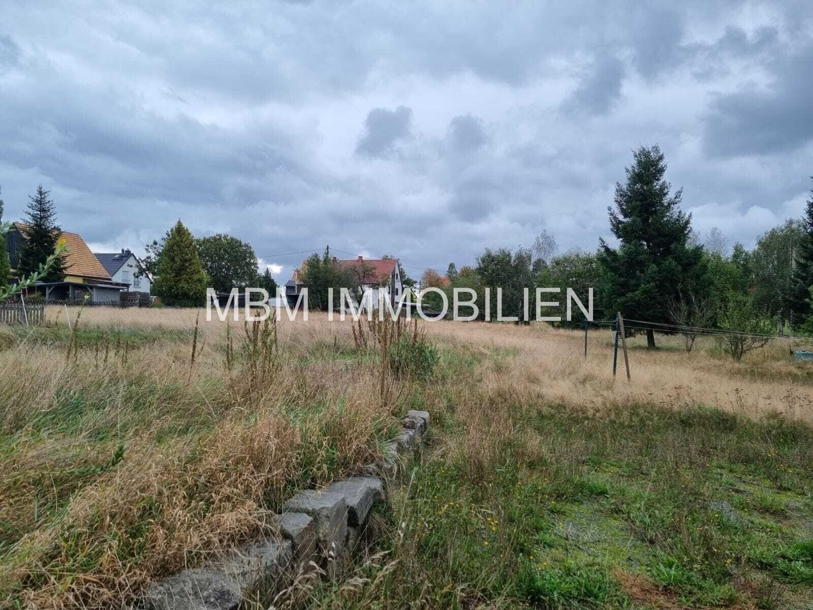 Immobilie in Bad Schandau - Ihr neues ZuHause in der sächsischen Schweiz - Bild 2