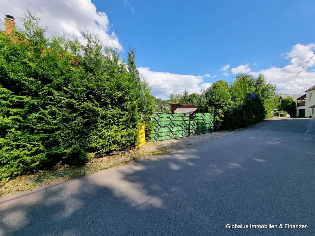 Immobilie in Lengenfeld - *Schönes Einfamilienhaus (Mehrgenerationenhaus) mit viel Platz* - Bild 1