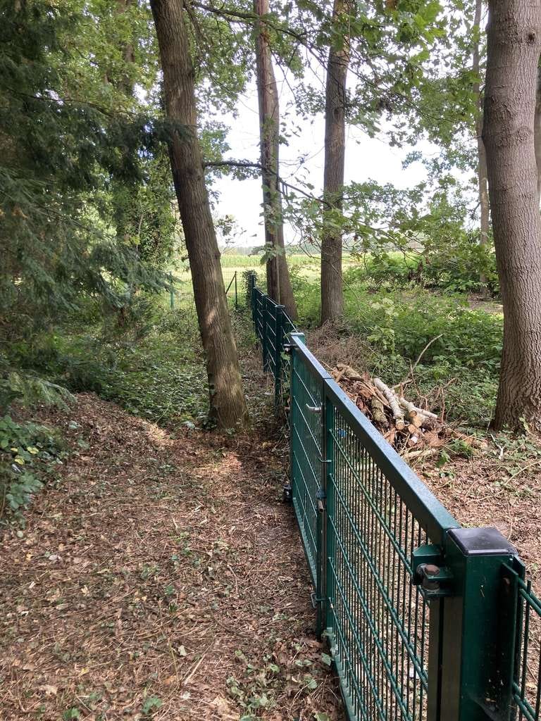 Immobilie in Neustadt am Rübenberge - Einzigartiges Waldgrundstück mit Wochenendhaus und Teichzugang – Ideal für Naturfreunde und Bastler - Bild 1