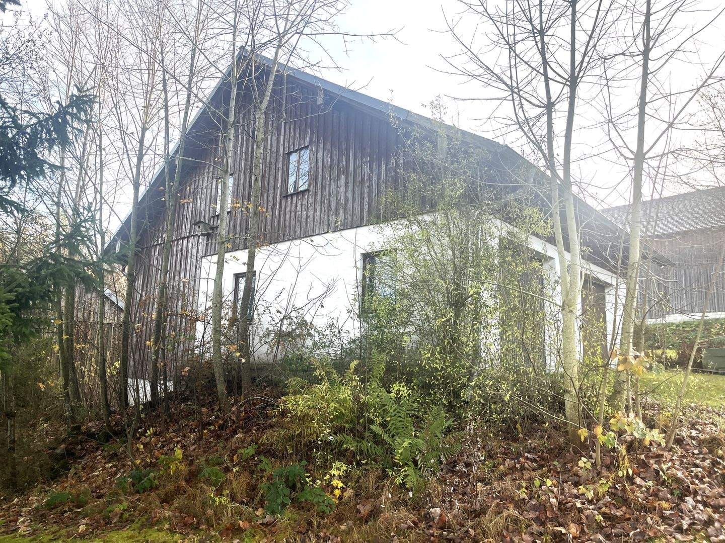 Immobilie in Innernzell - Ehem. Hofstelle mit 79.613 m² Grund (Wiesen/Wald) nähe Innerzell - Bild 4