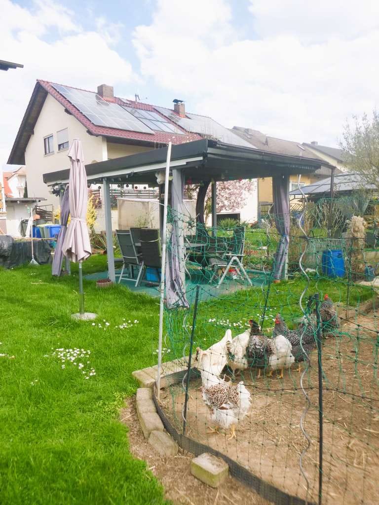 Immobilie in Hasselroth - Gartenliebhaber aufgepasst! Großzügiges Zweifamilienhaus in bevorzugter Wohnlage! - Bild 2