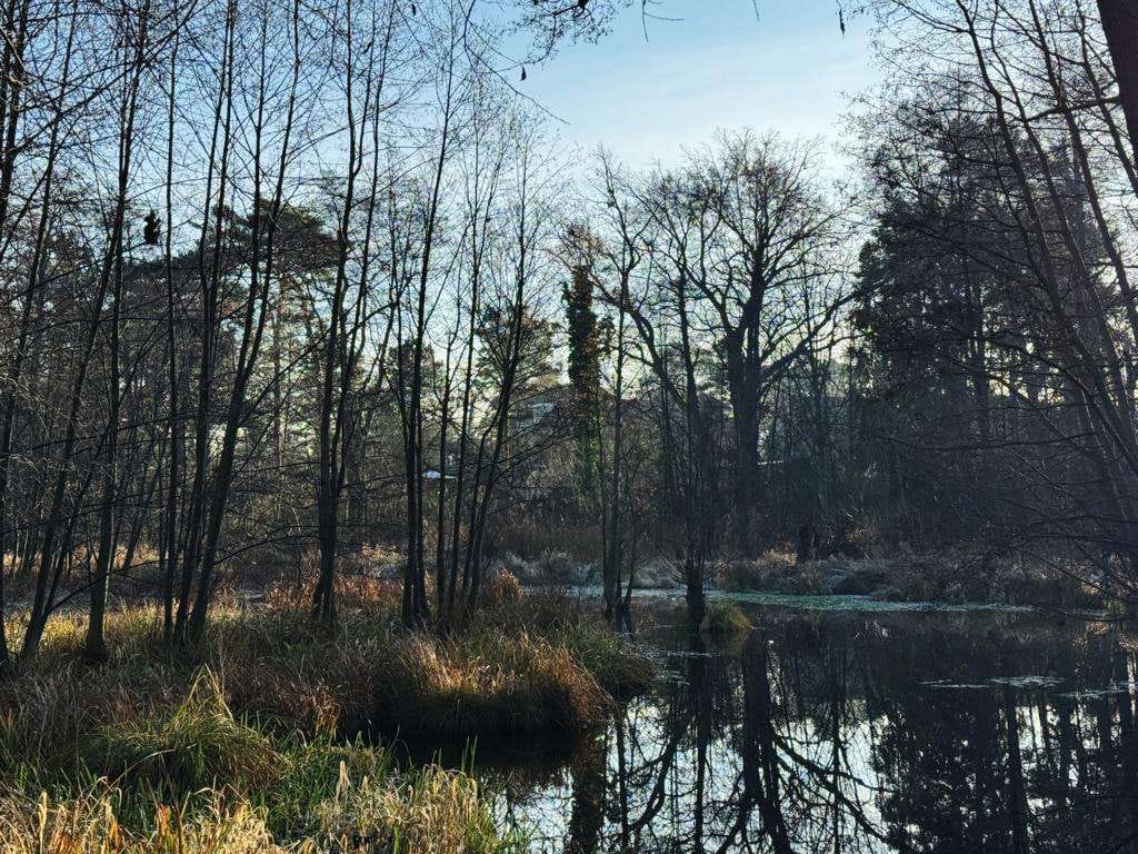 Immobilie in Birkenwerder - Ruhig gelegenes MFH am Briesetal mit viel Potenzial. - Bild 4
