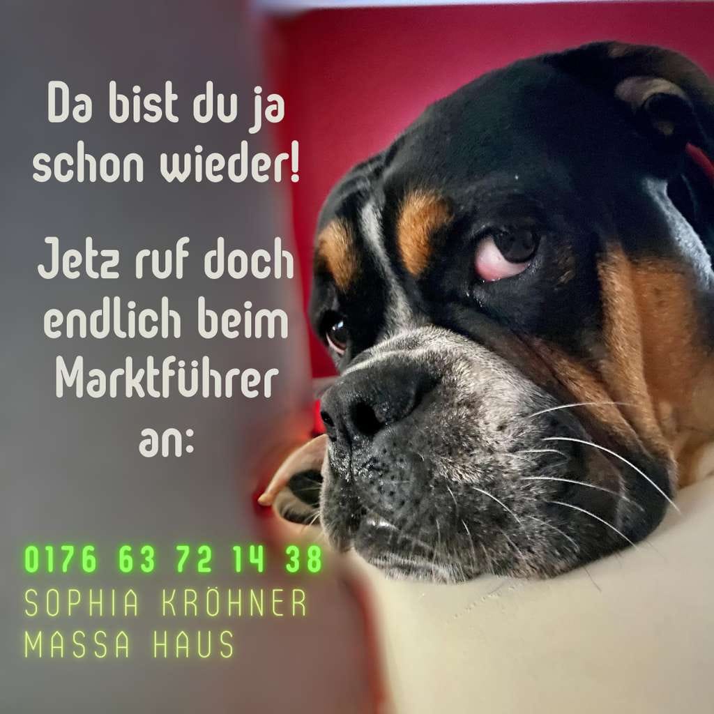 Immobilie in Königsfeld - Dieses Jahr entscheiden - nächstes Jahr einziehen! - Bild 1