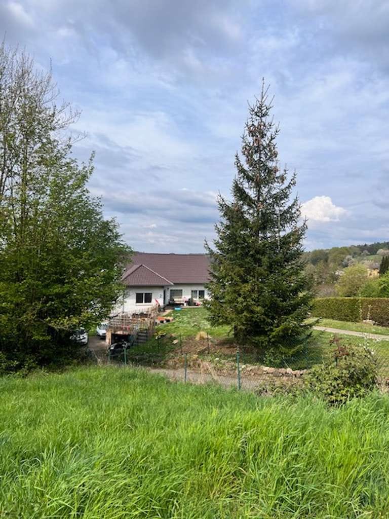 Immobilie in Spechbach - Freistehendes Einfamilienhaus mit Einliegerwohnung in Traumlage - Bild 0