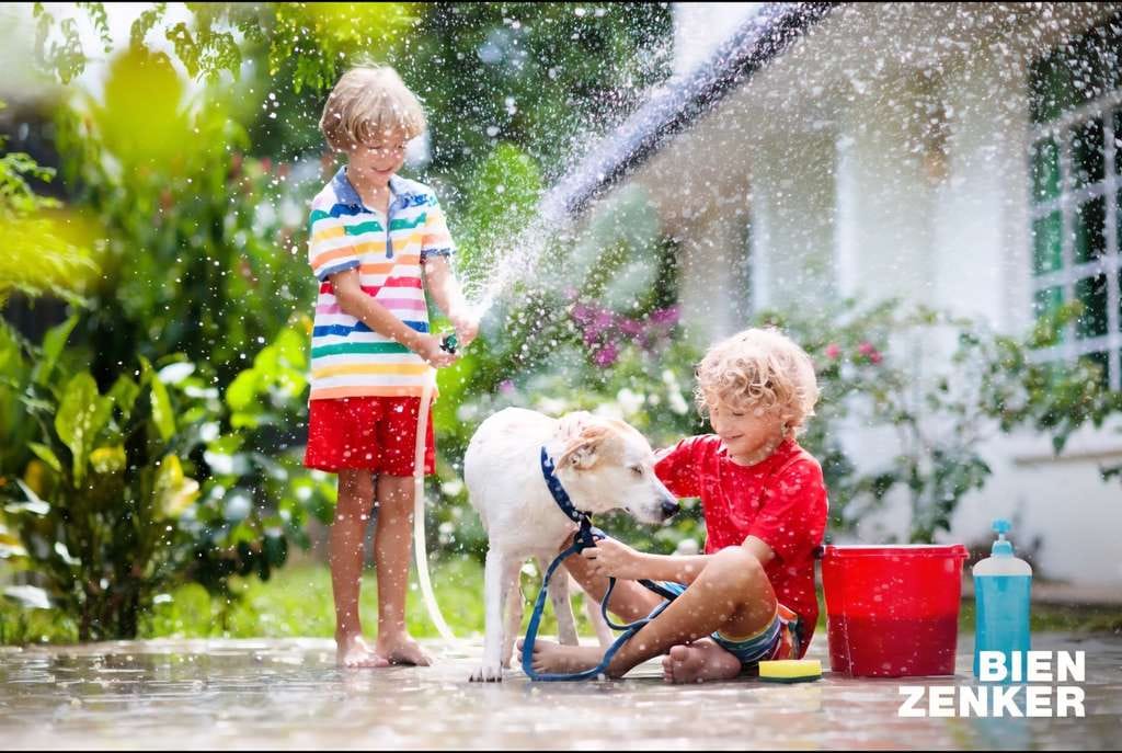 Immobilie in Holzbach - Den Sommer im eigenen Garten genießen und mit BIEN ZENKER das Traumhaus bauen inkl. Baugrundstück zu - Bild 0