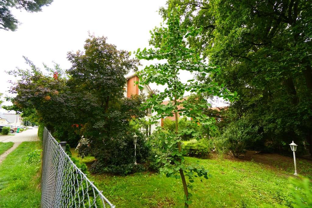 Immobilie in Ludwigsfelde - provisonsfrei  - Für Familien und Stadtgärtner - Sonnige DHH mit großen Garten - Bild 3