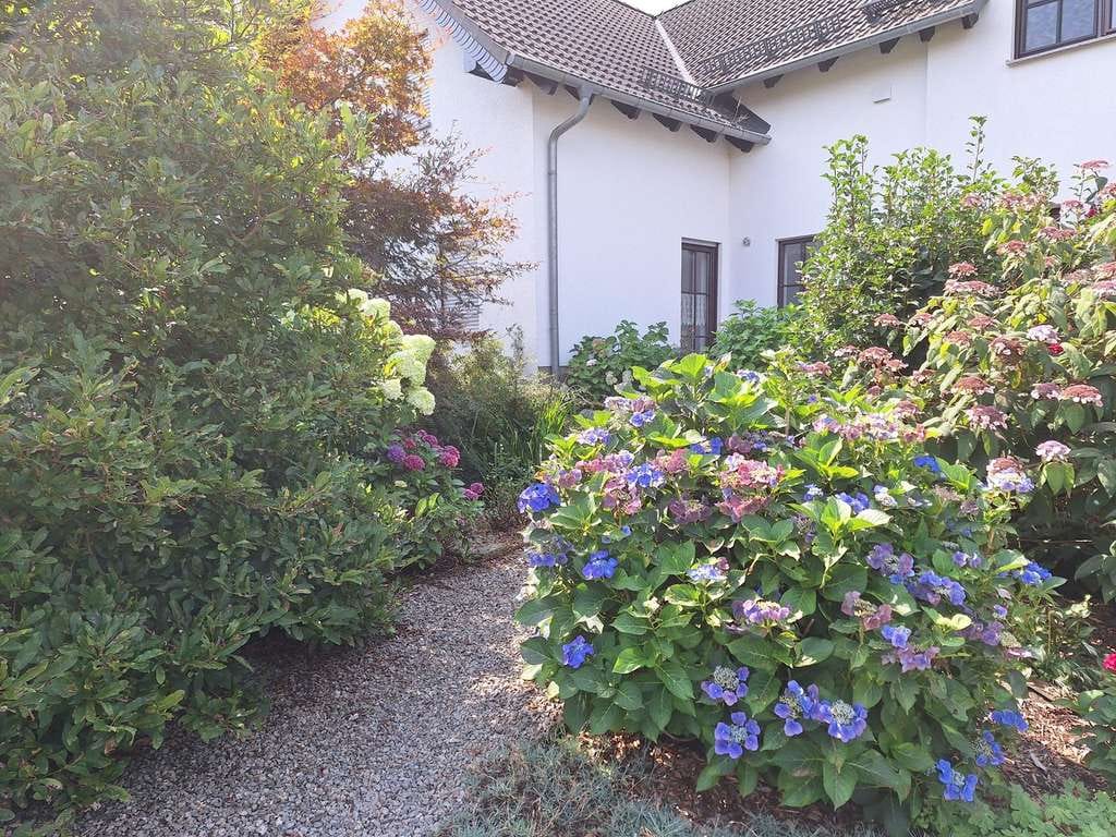 Immobilie in St. Egidien - MAKLERFREI_Traumhaftes Einfamilienhaus mit 2 ELW mitten im Grünen - Bild 0