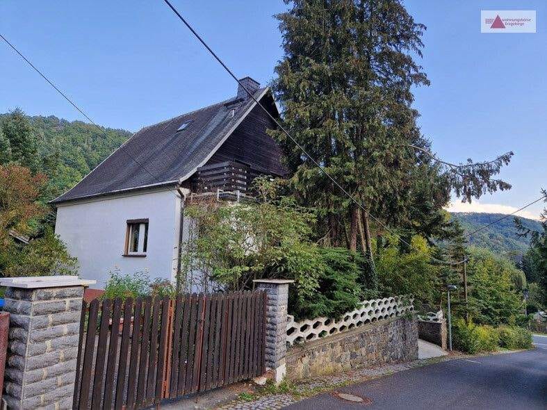 Immobilie in Glashütte - Einfamilienhaus in schöner Lage in Schlottwitz zu verkaufen! - Bild 4