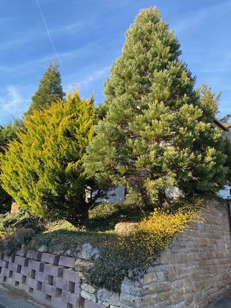 Immobilie in Wimsheim - Sonniges Einfamilienhaus mit ELW oder Büro und 2 Garagen in Hanglage mit Aussicht auf Wimsheim! - Bild 1