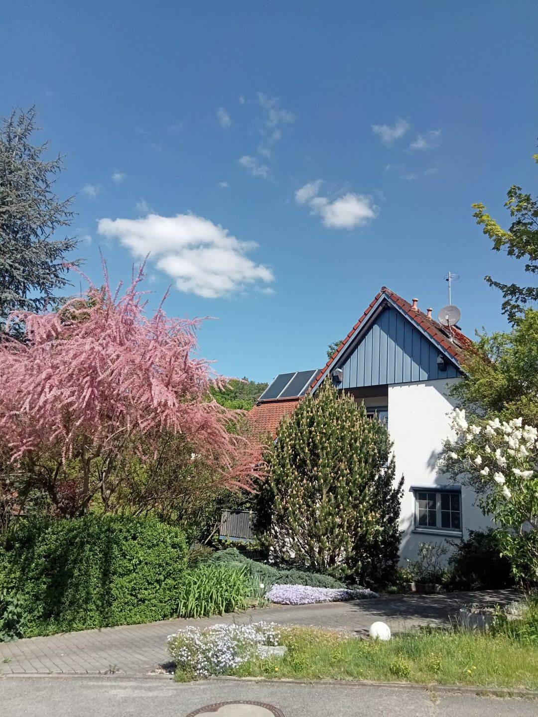 Immobilie in Absberg - Traumhaus mit Schwimmteich und viel Platz - Bild 1