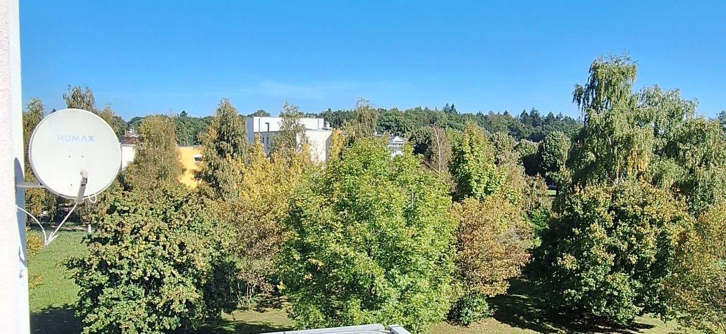 Immobilie in Singen (Hohentwiel) - - Gelegenheit - tolle 1,5- Zi- Wohnung Bj.92 mit TG im Singener Süden- 5 % Rendite - - Bild 3