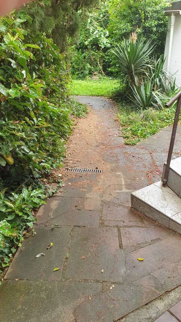 Immobilie in Eppelheim - Einfamilienhaus mit großer Einliegerwohnung in zentraler Lage - Bild 4