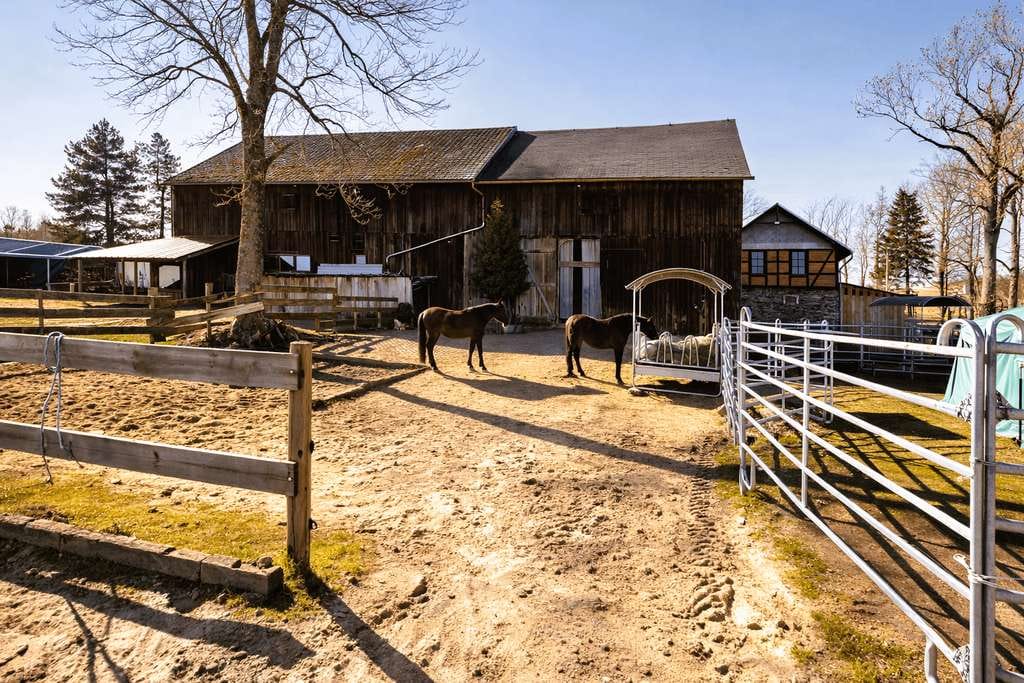 Immobilie in Rosenthal am Rennsteig - Exklusives Anwesen für Pferdeliebhaber – 11,48 ha & Reitplatz in Alleinlage - Bild 0