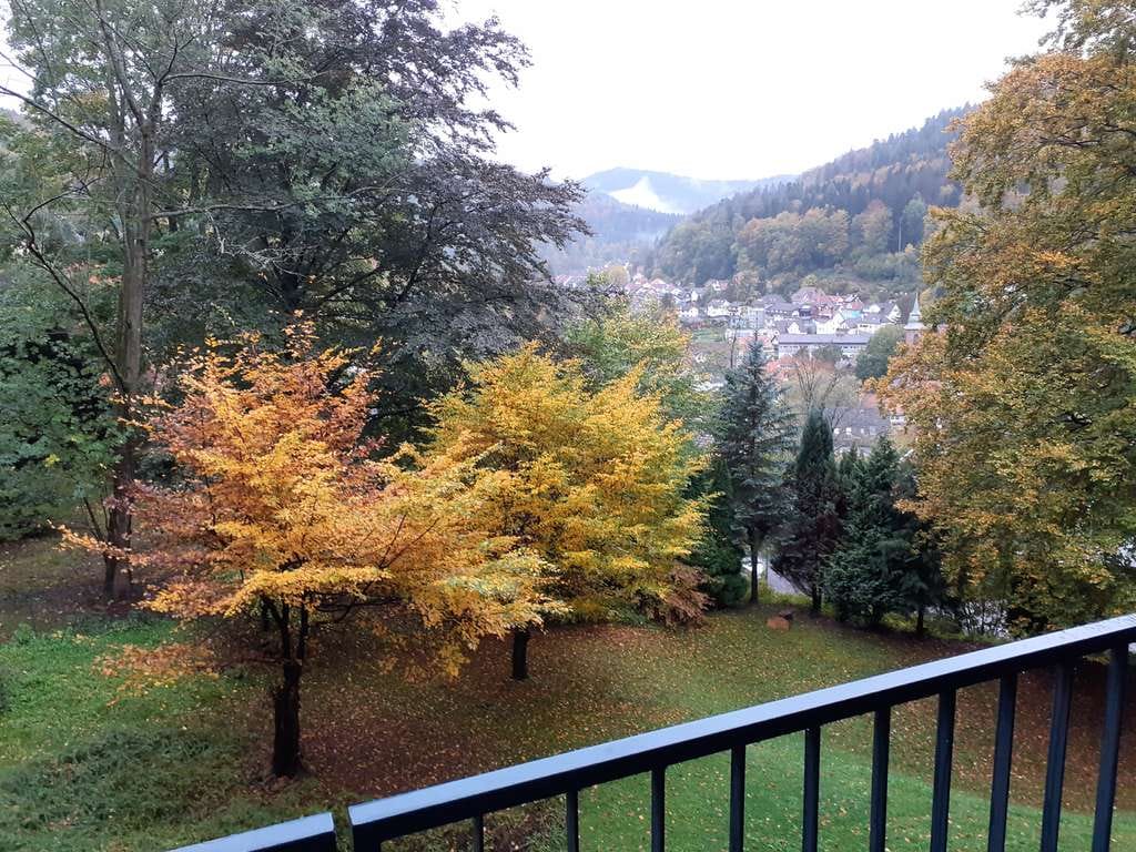 Immobilie in Bad Herrenalb - 1-Zimmer-Wohnung in Bad Herrenalb mit wunderbarem Ausblick - Bild 4