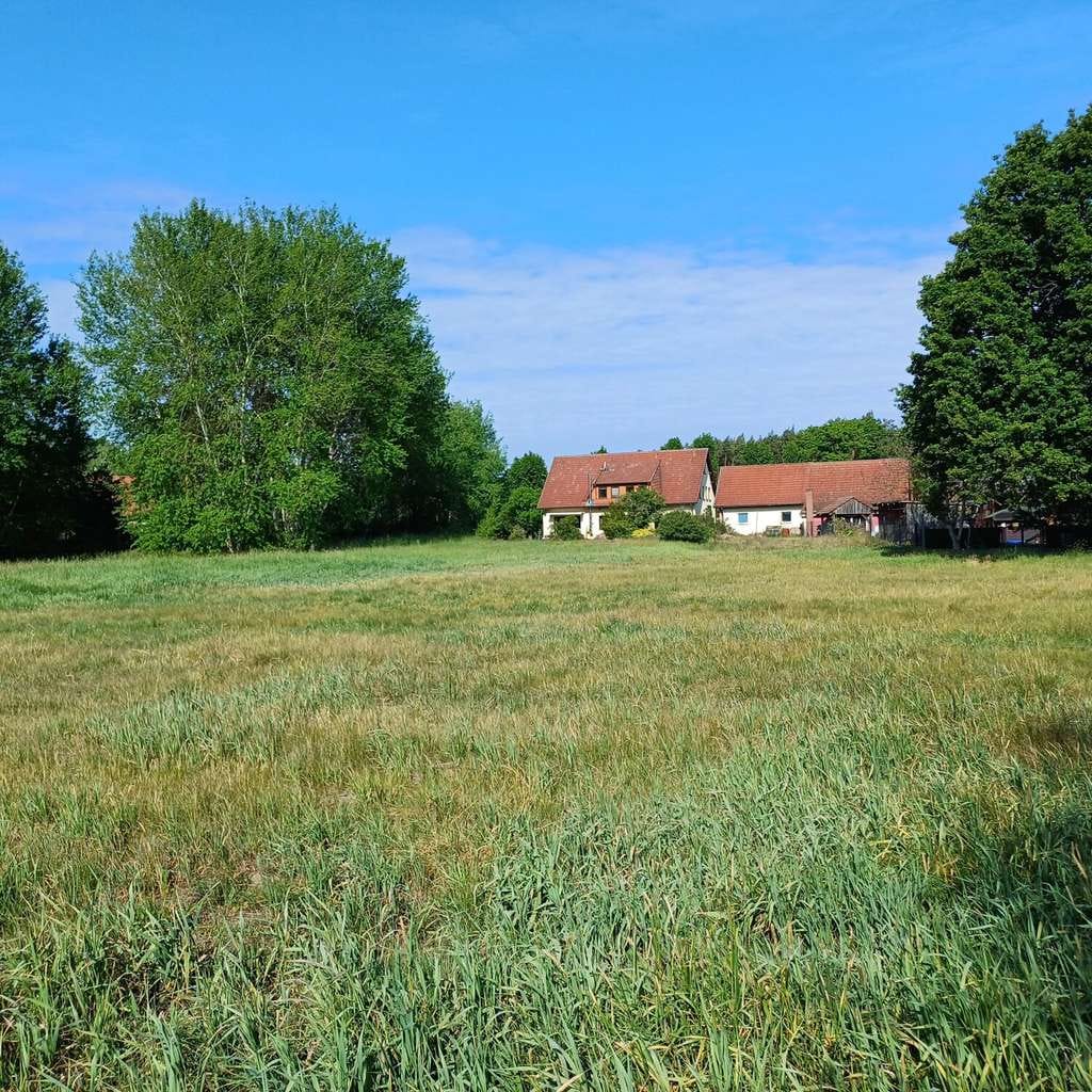 Immobilie in Rietzneuendorf-Staakow - Großzügiges Wohnhaus mit großen Garten  und modernem Wohnkomfort an der Dahme - Bild 3
