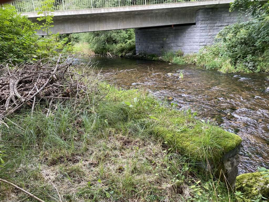 Immobilie in Bayerisch Eisenstein - Mehrgenerationen Wohnhaus in „Natur pur Lage“ im Herzen des Bay. Waldes! - Bild 1