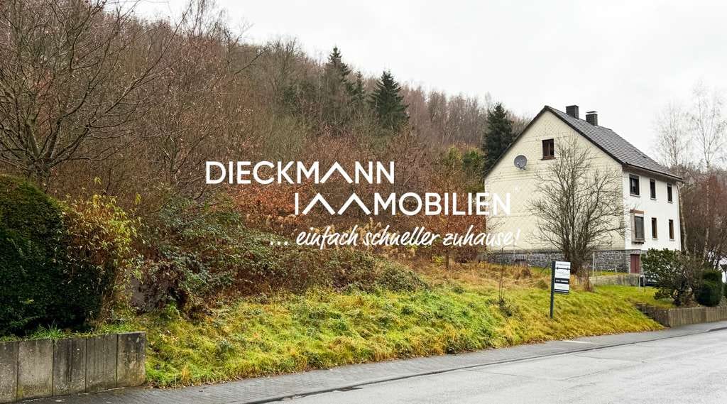Immobilie in Niederdreisbach - Wohnen im Eigenheim! Ihr Einfamilienhaus in Niederdreisbach! - Bild 0