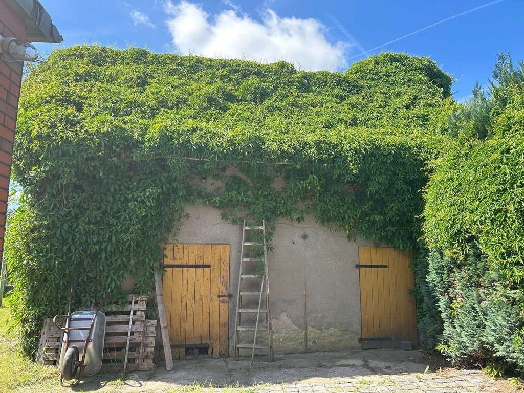 Immobilie in Perleberg - Einfamilienhaus mit Nebengelass - Bild 5